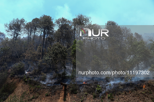 A forest fire is billowing smoke in a local community forest in Lalitpur, Central Nepal, on April 30, 2024. 