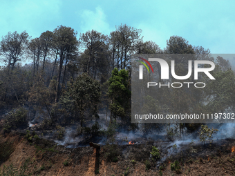 A forest fire is billowing smoke in a local community forest in Lalitpur, Central Nepal, on April 30, 2024. (