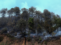 A forest fire is billowing smoke in a local community forest in Lalitpur, Central Nepal, on April 30, 2024. (