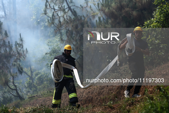 Nepali firefighters are attempting to douse a forest fire in Lalitpur District, Nepal, on April 30, 2024. 