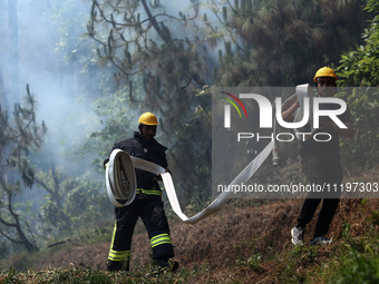 Nepali firefighters are attempting to douse a forest fire in Lalitpur District, Nepal, on April 30, 2024. (