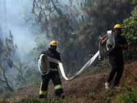 Nepali firefighters are attempting to douse a forest fire in Lalitpur District, Nepal, on April 30, 2024. (