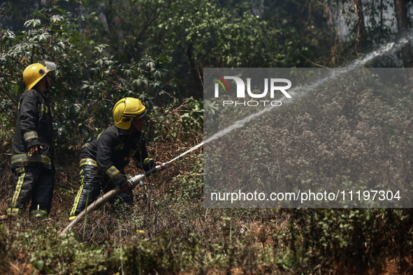 Nepali firefighters are attempting to douse a forest fire in Lalitpur District, Nepal, on April 30, 2024. 