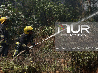 Nepali firefighters are attempting to douse a forest fire in Lalitpur District, Nepal, on April 30, 2024. (