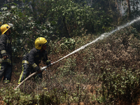 Nepali firefighters are attempting to douse a forest fire in Lalitpur District, Nepal, on April 30, 2024. (