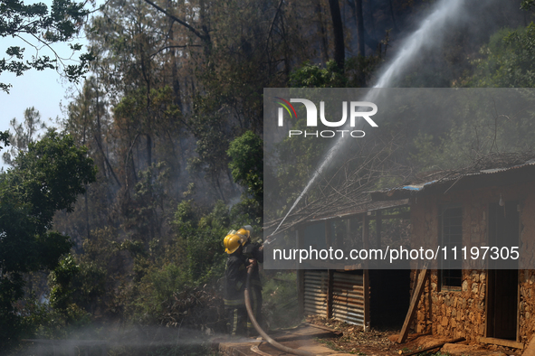 Nepali firefighters are attempting to douse a forest fire in Lalitpur District, Nepal, on April 30, 2024. 