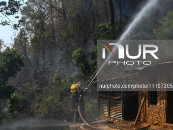 Nepali firefighters are attempting to douse a forest fire in Lalitpur District, Nepal, on April 30, 2024. (