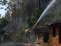 Nepali firefighters are attempting to douse a forest fire in Lalitpur District, Nepal, on April 30, 2024. (