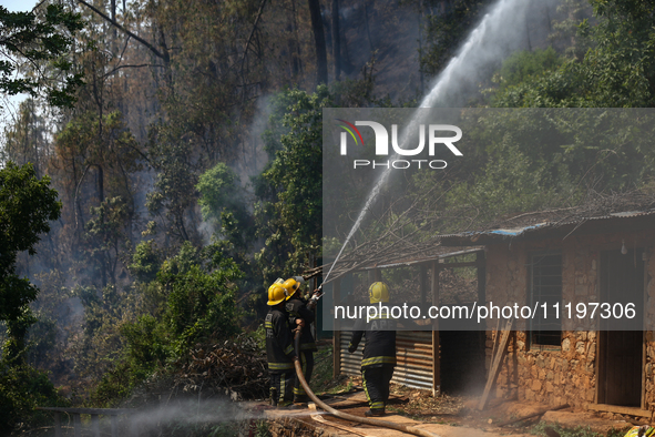 Nepali firefighters are attempting to douse a forest fire in Lalitpur District, Nepal, on April 30, 2024. 