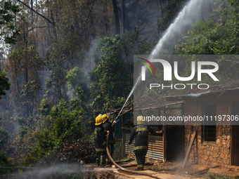 Nepali firefighters are attempting to douse a forest fire in Lalitpur District, Nepal, on April 30, 2024. (