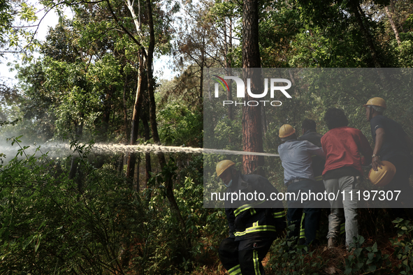 Nepali firefighters are attempting to douse a forest fire in Lalitpur District, Nepal, on April 30, 2024. 