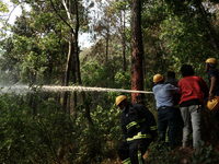 Nepali firefighters are attempting to douse a forest fire in Lalitpur District, Nepal, on April 30, 2024. (