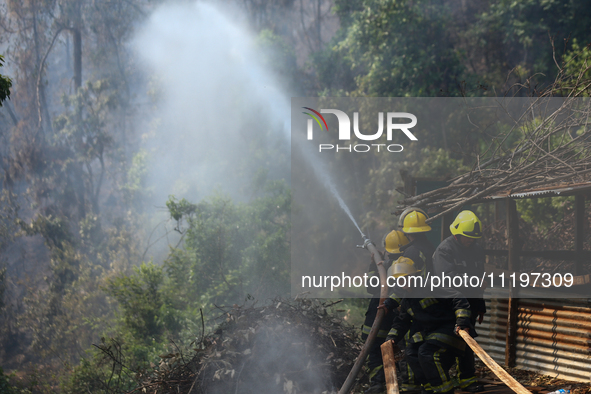 Nepali firefighters are attempting to douse a forest fire in Lalitpur District, Nepal, on April 30, 2024. 