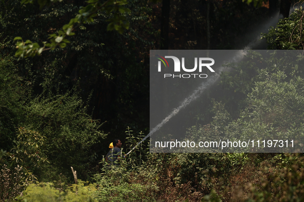 Nepali firefighters are attempting to douse a forest fire in Lalitpur District, Nepal, on April 30, 2024. 