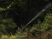 Nepali firefighters are attempting to douse a forest fire in Lalitpur District, Nepal, on April 30, 2024. (