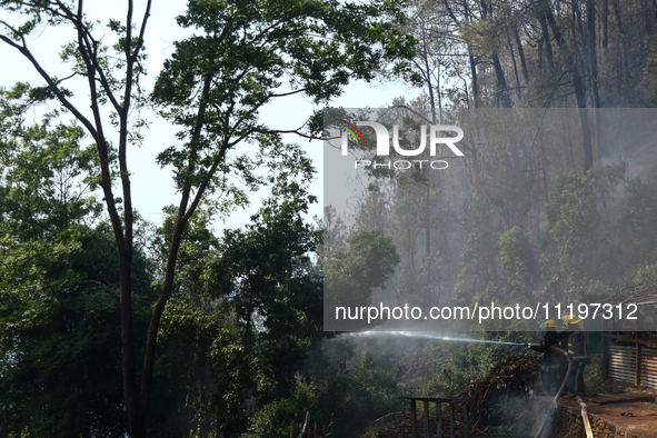 Nepali firefighters are attempting to douse a forest fire in Lalitpur District, Nepal, on April 30, 2024. 