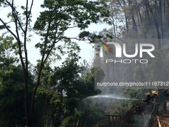 Nepali firefighters are attempting to douse a forest fire in Lalitpur District, Nepal, on April 30, 2024. (