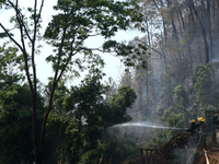 Nepali firefighters are attempting to douse a forest fire in Lalitpur District, Nepal, on April 30, 2024. (