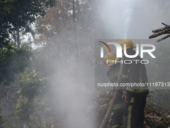 Nepali firefighters are attempting to douse a forest fire in Lalitpur District, Nepal, on April 30, 2024. (