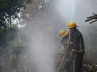 Nepali firefighters are attempting to douse a forest fire in Lalitpur District, Nepal, on April 30, 2024. (