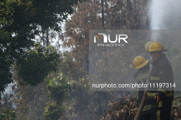 Nepali firefighters are attempting to douse a forest fire in Lalitpur District, Nepal, on April 30, 2024. 