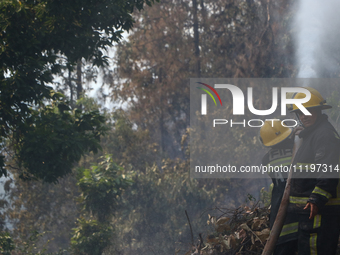 Nepali firefighters are attempting to douse a forest fire in Lalitpur District, Nepal, on April 30, 2024. (