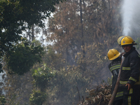 Nepali firefighters are attempting to douse a forest fire in Lalitpur District, Nepal, on April 30, 2024. (