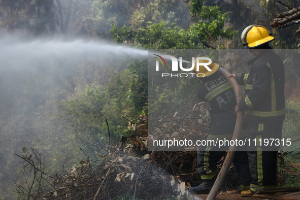 Nepali firefighters are attempting to douse a forest fire in Lalitpur District, Nepal, on April 30, 2024. 