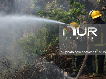 Nepali firefighters are attempting to douse a forest fire in Lalitpur District, Nepal, on April 30, 2024. (