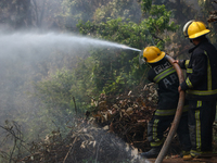 Nepali firefighters are attempting to douse a forest fire in Lalitpur District, Nepal, on April 30, 2024. (