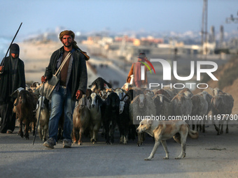 A shepherd is herding sheep along the coastal Rashid road in the Nuseirat refugee camp in the central Gaza Strip on April 30, 2024, amid the...