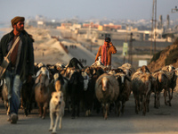 A shepherd is herding sheep along the coastal Rashid road in the Nuseirat refugee camp in the central Gaza Strip on April 30, 2024, amid the...