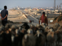 A shepherd is herding sheep along the coastal Rashid road in the Nuseirat refugee camp in the central Gaza Strip on April 30, 2024, amid the...