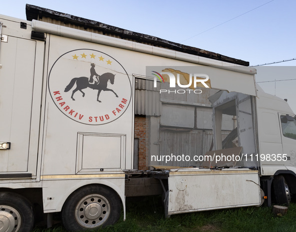 An animal shelter was damaged as a result of air strikes as Russian forces struck the central part of Kharkiv with bombs, on April 29, 2024....