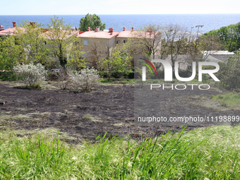 Grass on a slope is burning out as a result of a fire caused by a Russian missile strike on the waterfront in Odesa, Ukraine, on April 29, 2...