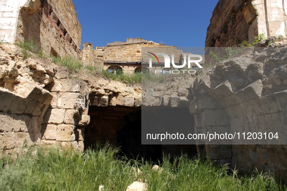 The Dubiecki Manor, built between 1830 and 1854, is lying in ruins in Vasylivka, Ukraine, on April 30, 2024. Known as ''Wolf's Lair,'' the h...