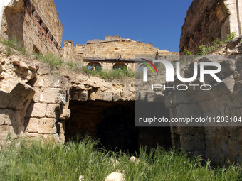 The Dubiecki Manor, built between 1830 and 1854, is lying in ruins in Vasylivka, Ukraine, on April 30, 2024. Known as ''Wolf's Lair,'' the h...