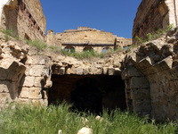 The Dubiecki Manor, built between 1830 and 1854, is lying in ruins in Vasylivka, Ukraine, on April 30, 2024. Known as ''Wolf's Lair,'' the h...