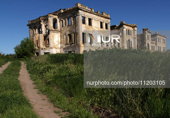 The Dubiecki Manor, built between 1830 and 1854, is lying in ruins in Vasylivka, Ukraine, on April 30, 2024. Known as ''Wolf's Lair,'' the h...