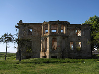 The Dubiecki Manor, built between 1830 and 1854, is lying in ruins in Vasylivka, Ukraine, on April 30, 2024. Known as ''Wolf's Lair,'' the h...