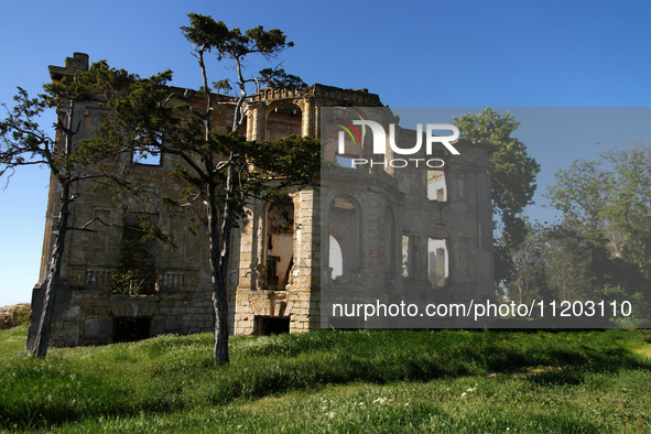 The Dubiecki Manor, built between 1830 and 1854, is lying in ruins in Vasylivka, Ukraine, on April 30, 2024. Known as ''Wolf's Lair,'' the h...