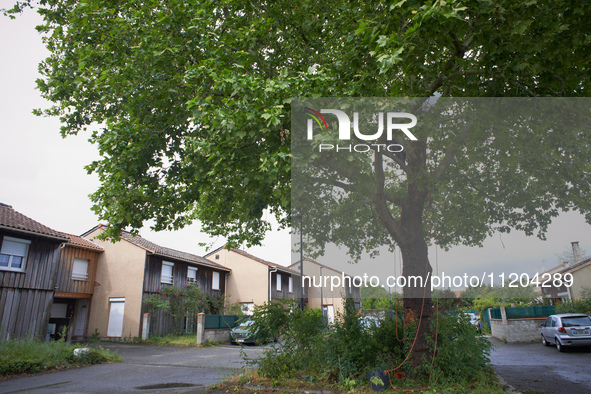 Residents of a small neighborhood in Toulouse are calling on the NGO GNSA (National Group of Trees Observation) to help protect an at least...