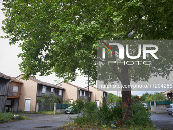 Residents of a small neighborhood in Toulouse are calling on the NGO GNSA (National Group of Trees Observation) to help protect an at least...