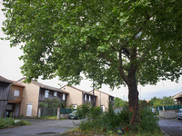 Residents of a small neighborhood in Toulouse are calling on the NGO GNSA (National Group of Trees Observation) to help protect an at least...