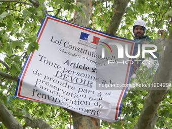 Vincent is placing a banner in the London plane tree in Toulouse, France, on May 2, 2024. The banner proclaims the constitutional law: ''Eve...