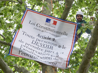 Vincent is placing a banner in the London plane tree in Toulouse, France, on May 2, 2024. The banner proclaims the constitutional law: ''Eve...