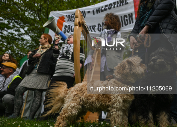 DUBLIN, IRELAND - MAY 2:
Pro-Palestinian activists and Irish musicians stand in solidarity outside RTE's studios, urging Ireland's national...