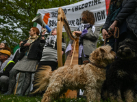 DUBLIN, IRELAND - MAY 2:
Pro-Palestinian activists and Irish musicians stand in solidarity outside RTE's studios, urging Ireland's national...