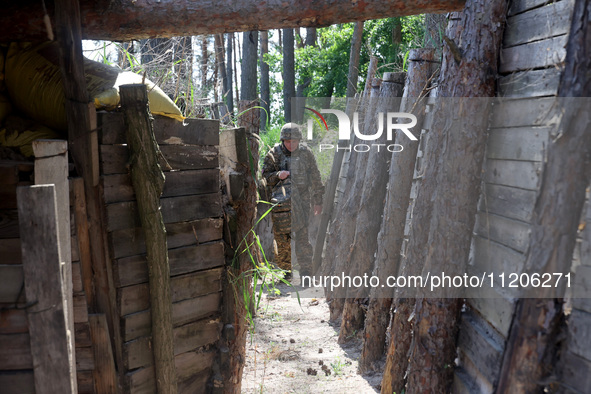 In Kharkiv Region, Ukraine, on May 3, 2024, Oleksii, who goes by the call sign Shershen (Hornet), is serving as a marksman and medic for the...