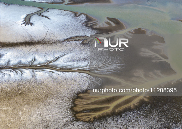 A ''tidal tree'' is snaking like a swimming dragon above the tidal flat at the Yellow Sea wetland in the Dafeng district of Yancheng City, J...